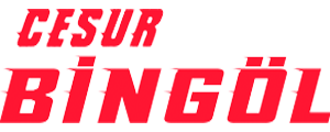 Cesur Bingöl Seyahat