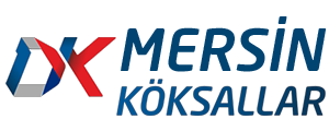 DK Köksallar Seyahat