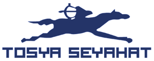 Tosya Seyahat