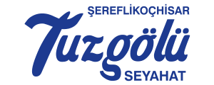 Tuzgölü Seyahat